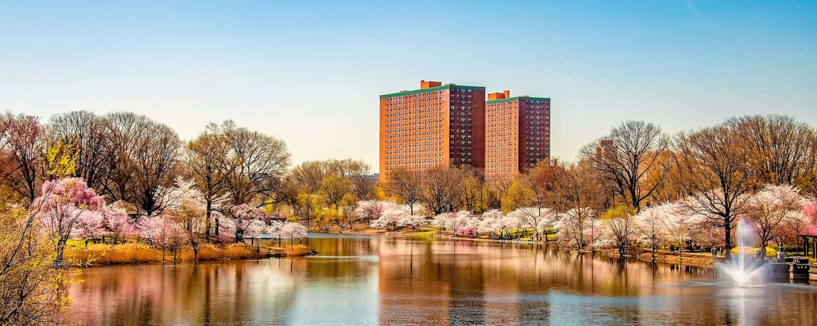 city photo